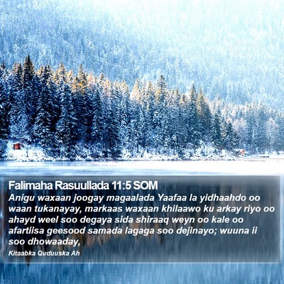 Falimaha Rasuullada 11:5 SOM Bible Verse Image