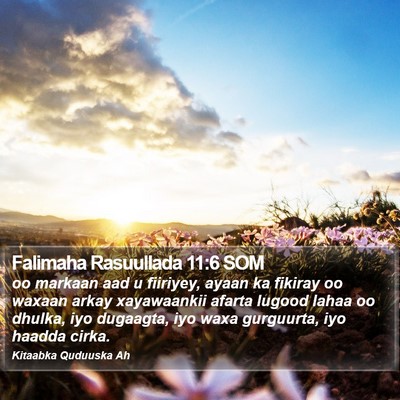 Falimaha Rasuullada 11:6 SOM Bible Verse Image