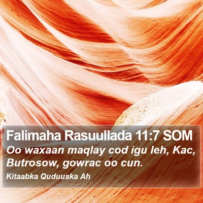 Falimaha Rasuullada 11:7 SOM Bible Verse Image