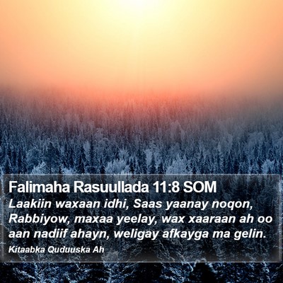 Falimaha Rasuullada 11:8 SOM Bible Verse Image