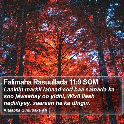 Falimaha Rasuullada 11:9 SOM Bible Verse Image