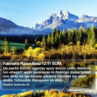 Falimaha Rasuullada 12:11 SOM Bible Verse Image