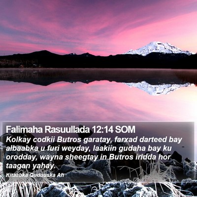 Falimaha Rasuullada 12:14 SOM Bible Verse Image