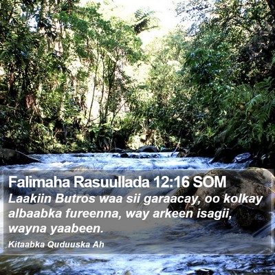 Falimaha Rasuullada 12:16 SOM Bible Verse Image