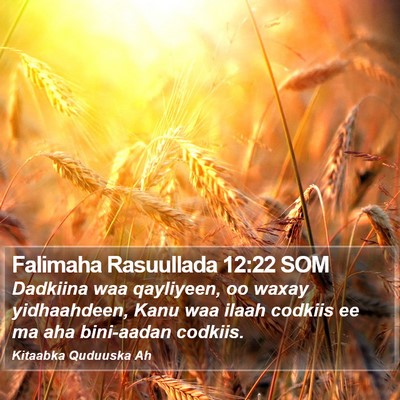 Falimaha Rasuullada 12:22 SOM Bible Verse Image