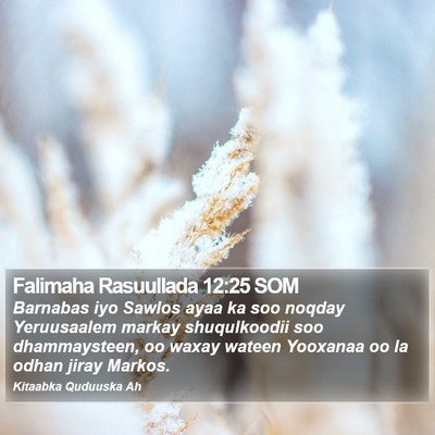 Falimaha Rasuullada 12:25 SOM Bible Verse Image