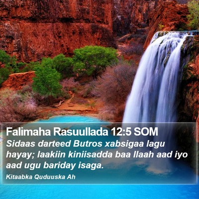 Falimaha Rasuullada 12:5 SOM Bible Verse Image