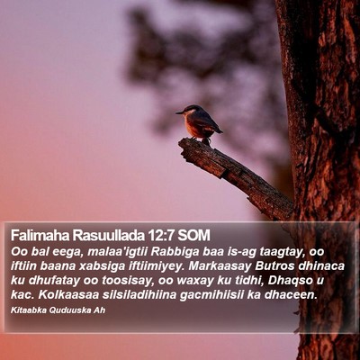 Falimaha Rasuullada 12:7 SOM Bible Verse Image