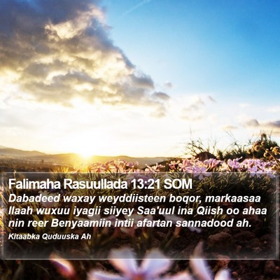 Falimaha Rasuullada 13:21 SOM Bible Verse Image