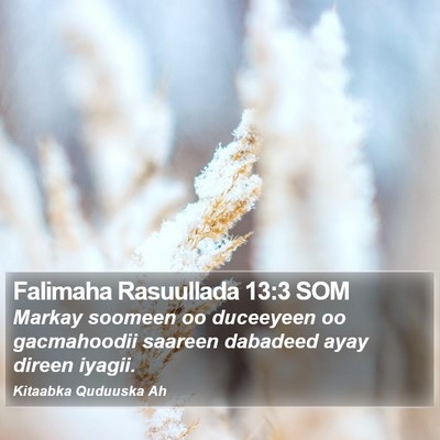 Falimaha Rasuullada 13:3 SOM Bible Verse Image