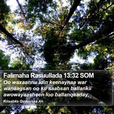 Falimaha Rasuullada 13:32 SOM Bible Verse Image