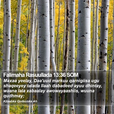 Falimaha Rasuullada 13:36 SOM Bible Verse Image