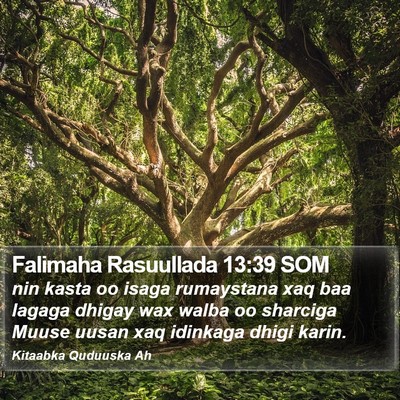 Falimaha Rasuullada 13:39 SOM Bible Verse Image