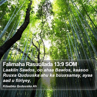 Falimaha Rasuullada 13:9 SOM Bible Verse Image