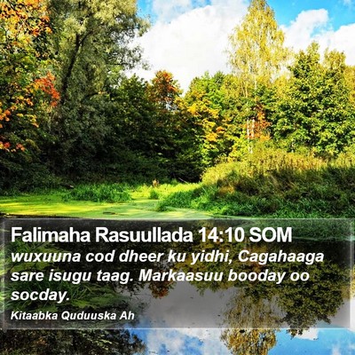 Falimaha Rasuullada 14:10 SOM Bible Verse Image