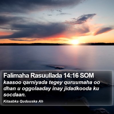 Falimaha Rasuullada 14:16 SOM Bible Verse Image