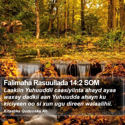 Falimaha Rasuullada 14:2 SOM Bible Verse Image