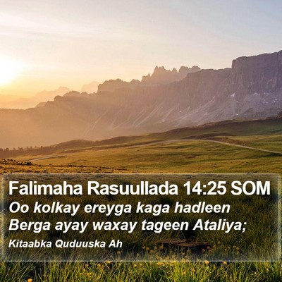 Falimaha Rasuullada 14:25 SOM Bible Verse Image