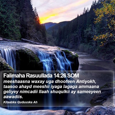 Falimaha Rasuullada 14:26 SOM Bible Verse Image