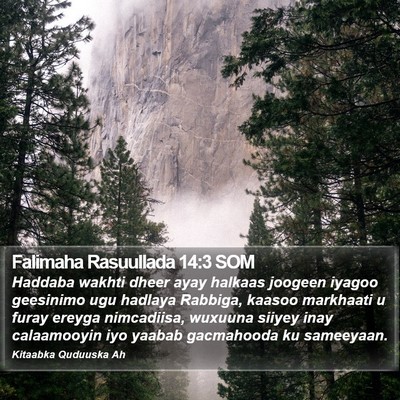 Falimaha Rasuullada 14:3 SOM Bible Verse Image