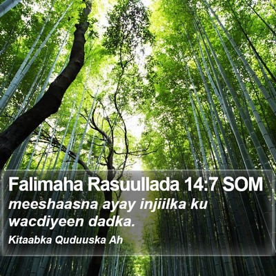 Falimaha Rasuullada 14:7 SOM Bible Verse Image