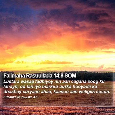 Falimaha Rasuullada 14:8 SOM Bible Verse Image