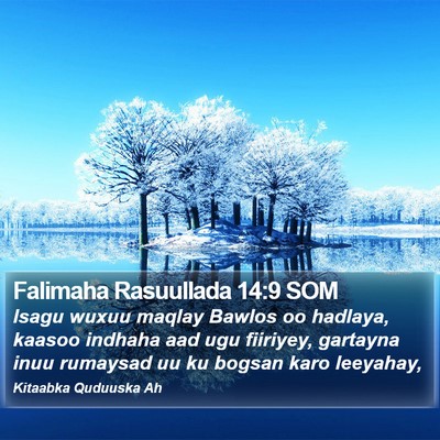 Falimaha Rasuullada 14:9 SOM Bible Verse Image