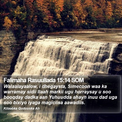 Falimaha Rasuullada 15:14 SOM Bible Verse Image
