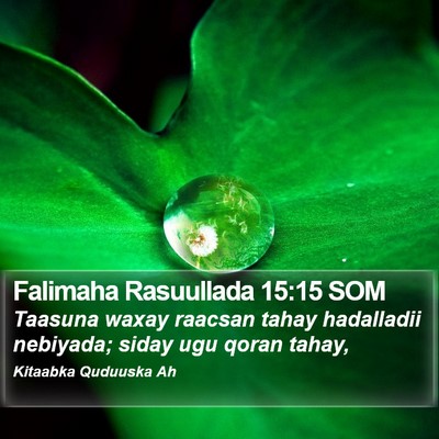 Falimaha Rasuullada 15:15 SOM Bible Verse Image