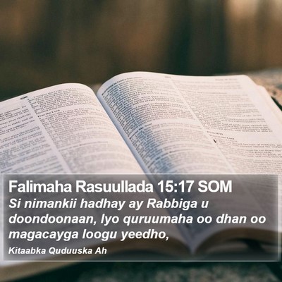 Falimaha Rasuullada 15:17 SOM Bible Verse Image