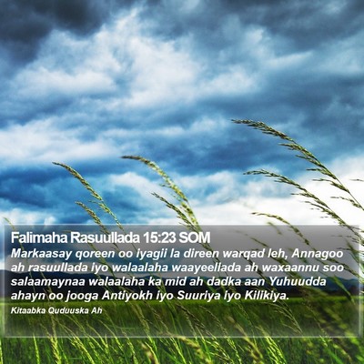 Falimaha Rasuullada 15:23 SOM Bible Verse Image