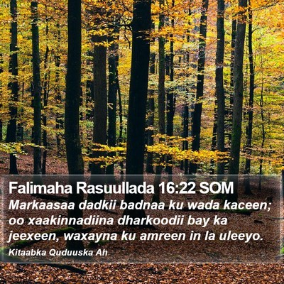 Falimaha Rasuullada 16:22 SOM Bible Verse Image