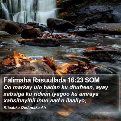 Falimaha Rasuullada 16:23 SOM Bible Verse Image