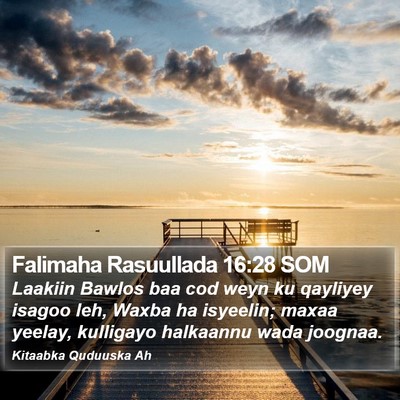 Falimaha Rasuullada 16:28 SOM Bible Verse Image
