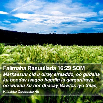 Falimaha Rasuullada 16:29 SOM Bible Verse Image