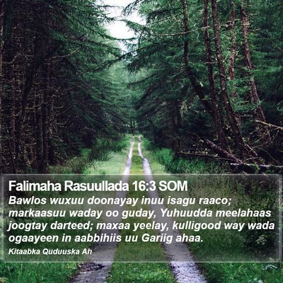 Falimaha Rasuullada 16:3 SOM Bible Verse Image