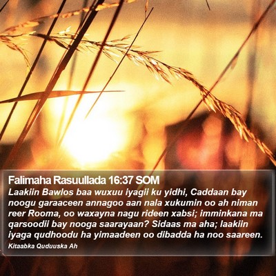 Falimaha Rasuullada 16:37 SOM Bible Verse Image