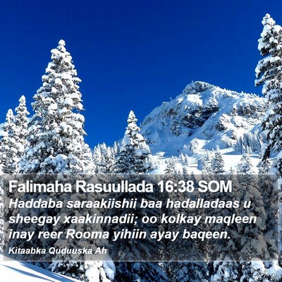 Falimaha Rasuullada 16:38 SOM Bible Verse Image