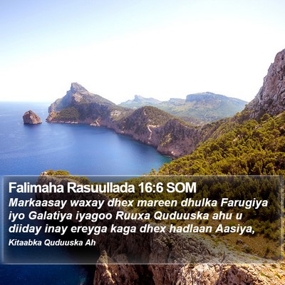 Falimaha Rasuullada 16:6 SOM Bible Verse Image