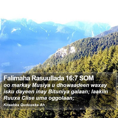 Falimaha Rasuullada 16:7 SOM Bible Verse Image