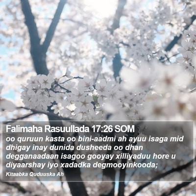 Falimaha Rasuullada 17:26 SOM Bible Verse Image