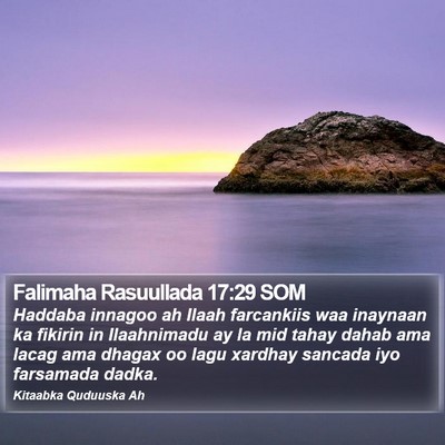 Falimaha Rasuullada 17:29 SOM Bible Verse Image
