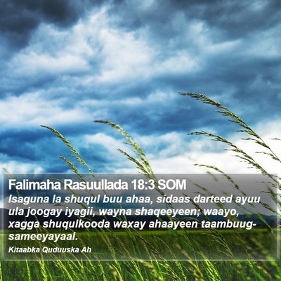 Falimaha Rasuullada 18:3 SOM Bible Verse Image