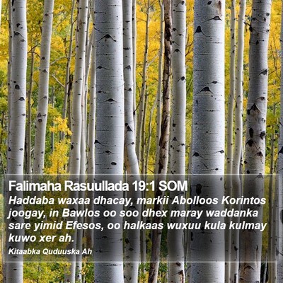 Falimaha Rasuullada 19:1 SOM Bible Verse Image