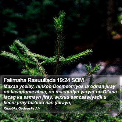 Falimaha Rasuullada 19:24 SOM Bible Verse Image