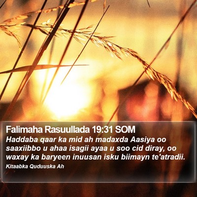 Falimaha Rasuullada 19:31 SOM Bible Verse Image