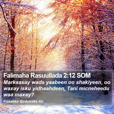 Falimaha Rasuullada 2:12 SOM Bible Verse Image
