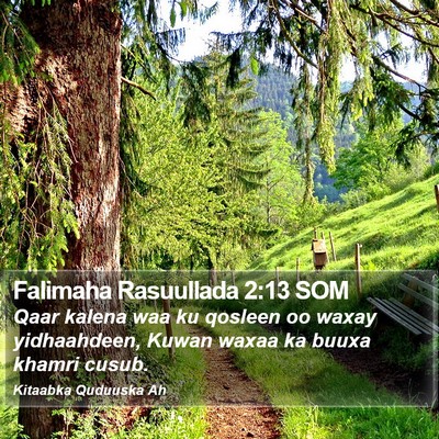 Falimaha Rasuullada 2:13 SOM Bible Verse Image
