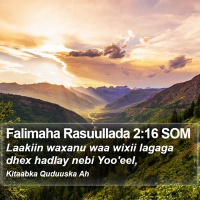 Falimaha Rasuullada 2:16 SOM Bible Verse Image
