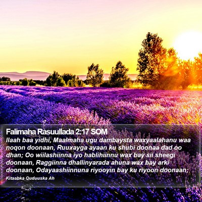 Falimaha Rasuullada 2:17 SOM Bible Verse Image